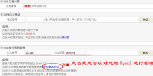 星輝互聯 深耕域名與云服務，賦能企業數字化轉型
